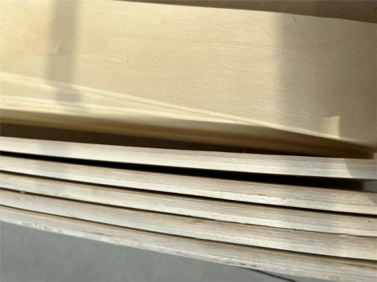 Curved LVL Plywood Wooden Bed Slats